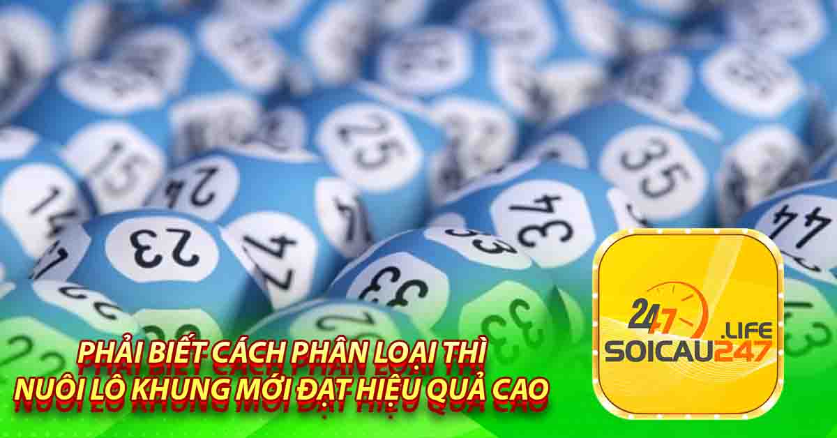 Phải biết cách phân loại thì nuôi lô khung mới đạt hiệu quả cao