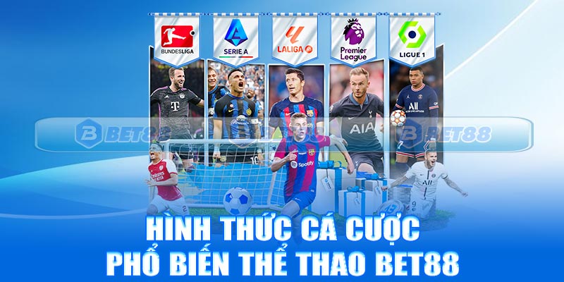 Hình thức cá cược phổ biến thể thao Bet88