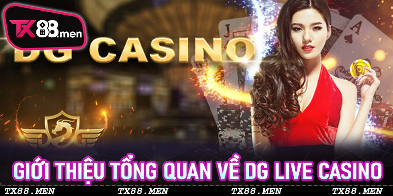Giới thiệu tổng quan về DG Live Casino